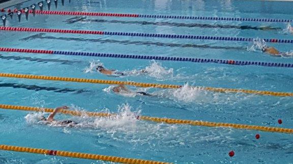 Okullar Arası Minikler Yüzme Müsabakaları İstanbul İl Birinciliği Pendik´ten