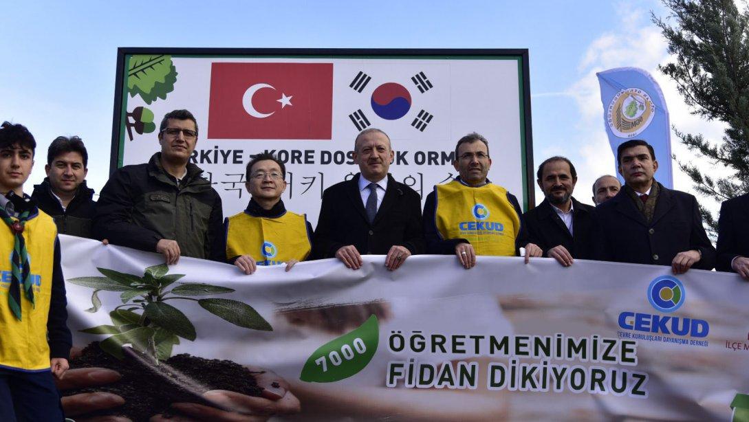 Türk-Kore Dostluk Ormanı Fidan Dikme Programına Öğrencilerimizle Katılım Sağladık.